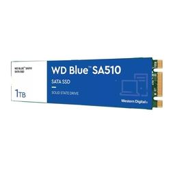 WD BLUE SSD 3D NAND WDS100T3B0B 1TB SA510 M.2 SATA