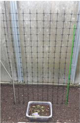 Zahradní síť  BFRP 3/oko 100 - plát 0,75x3m